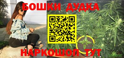 крисы Бузулук
