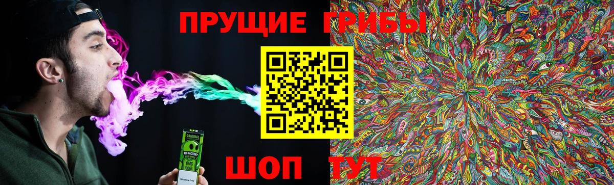 Псилоцибиновые грибы GOLDEN TEACHER  Вход с VPN  Печора 